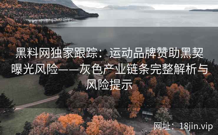 黑料网独家跟踪：运动品牌赞助黑契曝光风险——灰色产业链条完整解析与风险提示