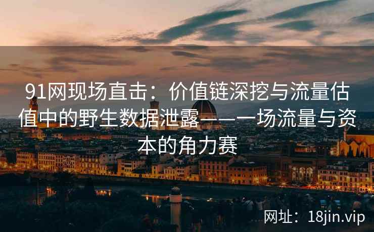 91网现场直击：价值链深挖与流量估值中的野生数据泄露——一场流量与资本的角力赛