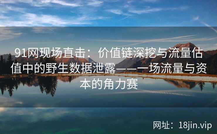 91网现场直击：价值链深挖与流量估值中的野生数据泄露——一场流量与资本的角力赛