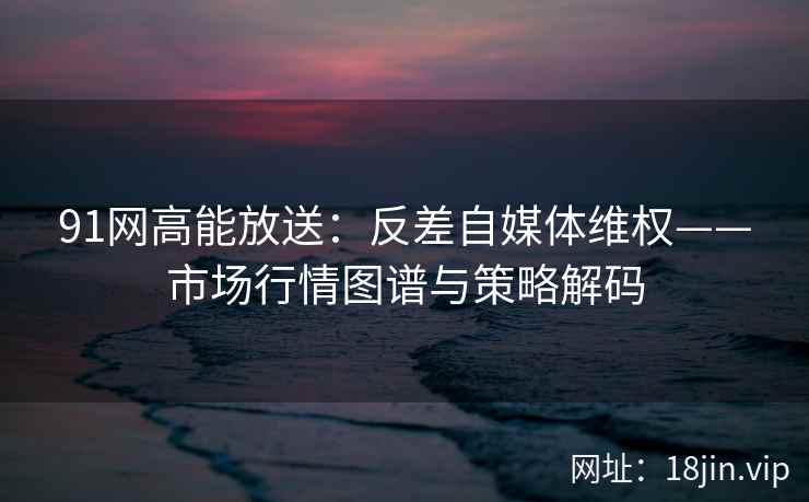 91网高能放送：反差自媒体维权——市场行情图谱与策略解码