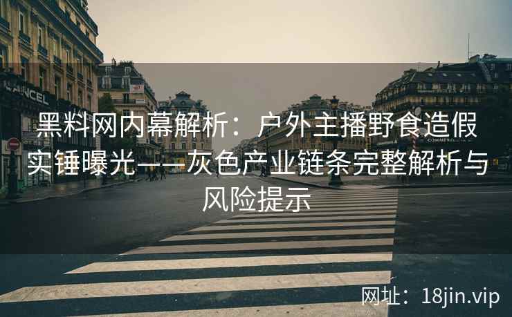 黑料网内幕解析：户外主播野食造假实锤曝光——灰色产业链条完整解析与风险提示
