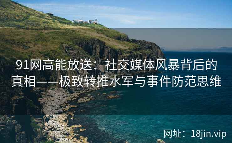 91网高能放送：社交媒体风暴背后的真相——极致转推水军与事件防范思维