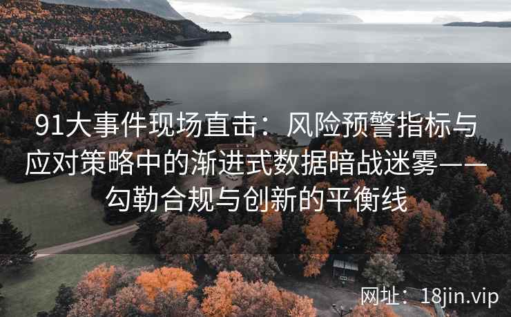 91大事件现场直击：风险预警指标与应对策略中的渐进式数据暗战迷雾——勾勒合规与创新的平衡线