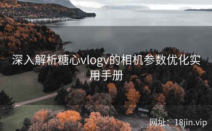 深入解析糖心vlogv的相机参数优化实用手册