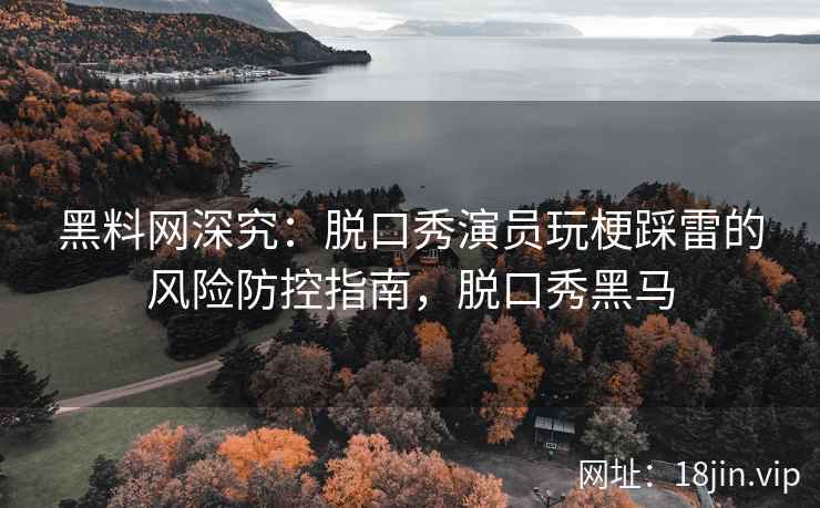 黑料网深究：脱口秀演员玩梗踩雷的风险防控指南，脱口秀黑马