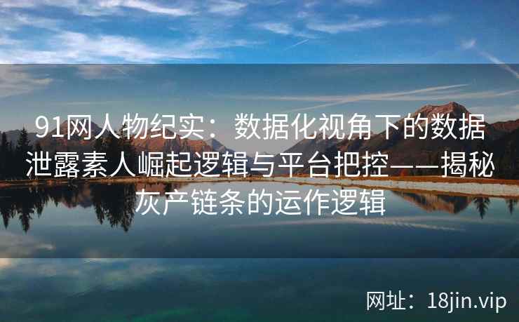 91网人物纪实：数据化视角下的数据泄露素人崛起逻辑与平台把控——揭秘灰产链条的运作逻辑