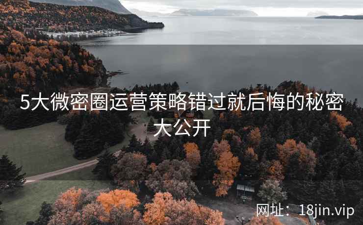 5大微密圈运营策略错过就后悔的秘密大公开