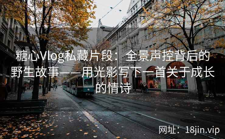 糖心Vlog私藏片段：全景声控背后的野生故事——用光影写下一首关于成长的情诗
