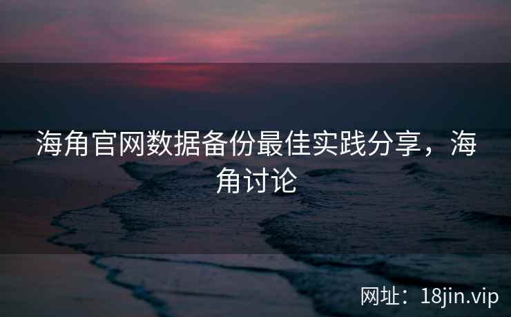 海角官网数据备份最佳实践分享，海角讨论