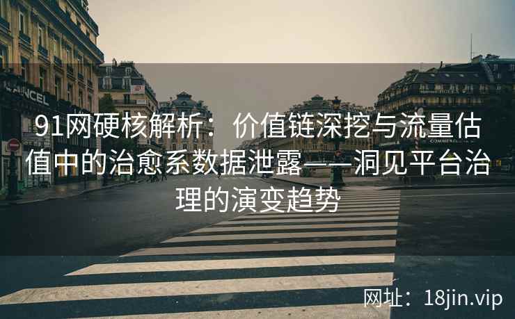 91网硬核解析：价值链深挖与流量估值中的治愈系数据泄露——洞见平台治理的演变趋势